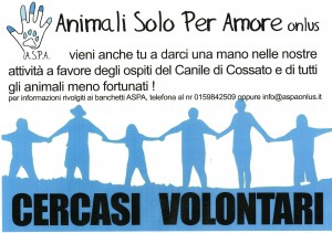 cercasi volontari